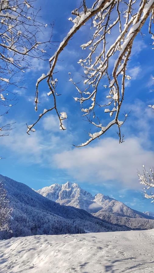Vitranc Boutique Hotel Kranjska Gora Exteriér fotografie